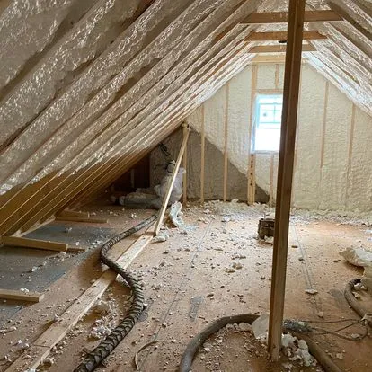 Insulation Removal